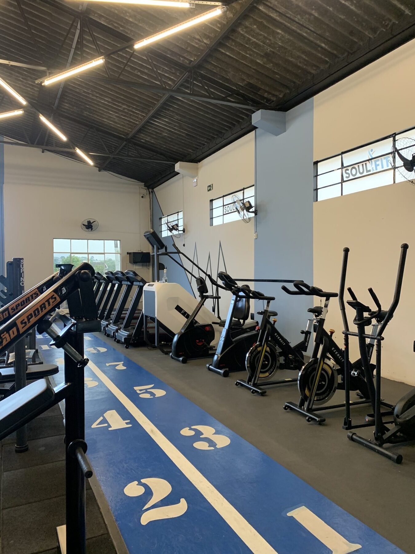 Bicicletas e elípticos